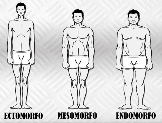 tipos de cuerpo hombre como vestirse - Cómo saber cuál es tu tipo de cuerpo hombre