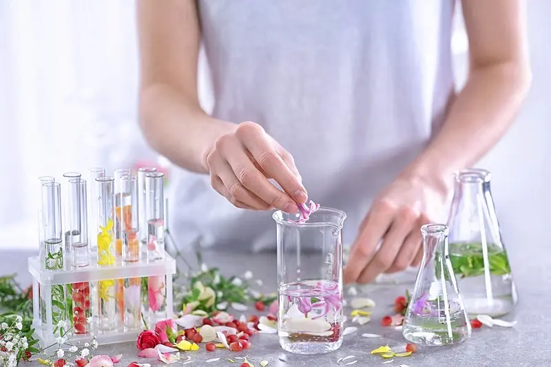 como se hacen los perfumes - Cómo se extrae la esencia de un perfume