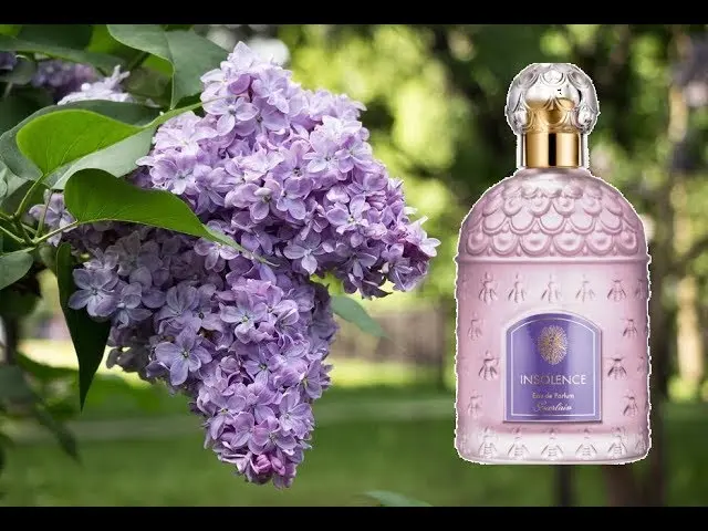 y un perfume de lilas como el de aquella vez - Cómo se llama el cantante de pomada