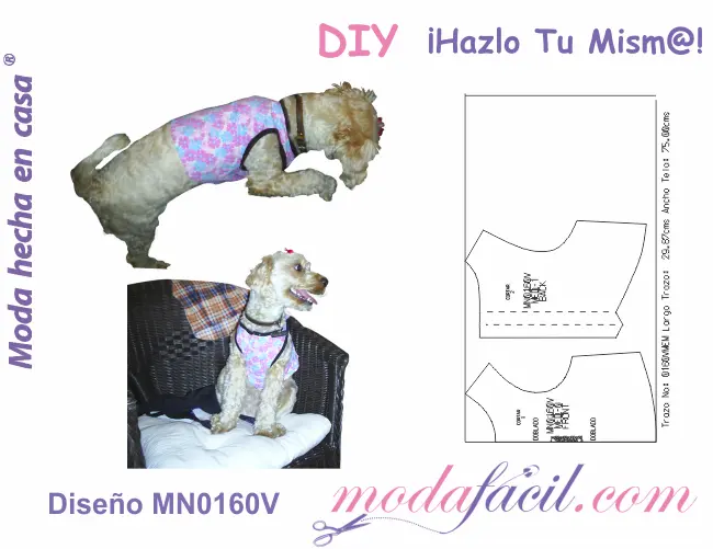 molde para camisa de perro - Cómo se mide la talla de un perro