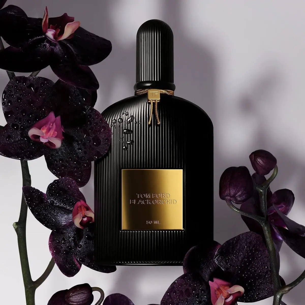 perfume orquidea negra precio - Cuál es el nombre científico de la orquídea negra