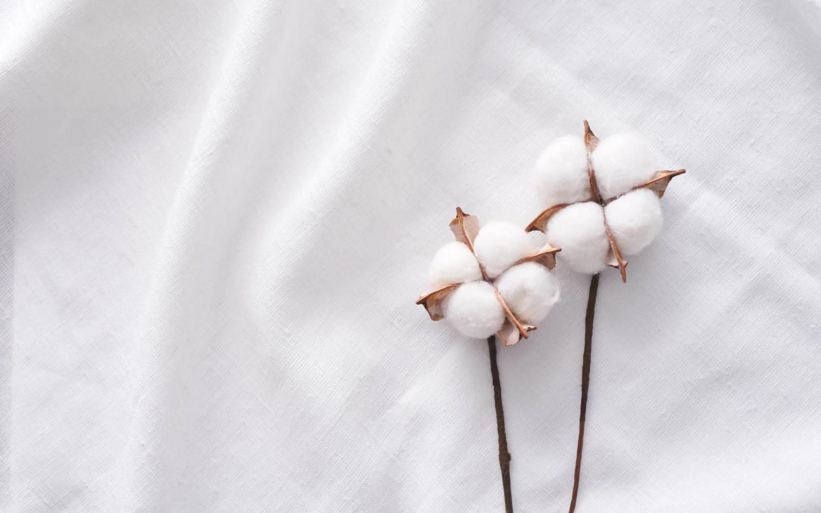 ropa de algodon - Cuáles son los beneficios del algodón