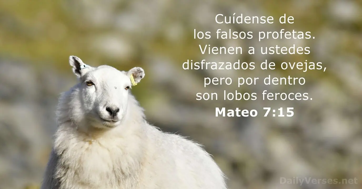 lobos vestidos de ovejas biblia - Qué dice Mateo 7 8