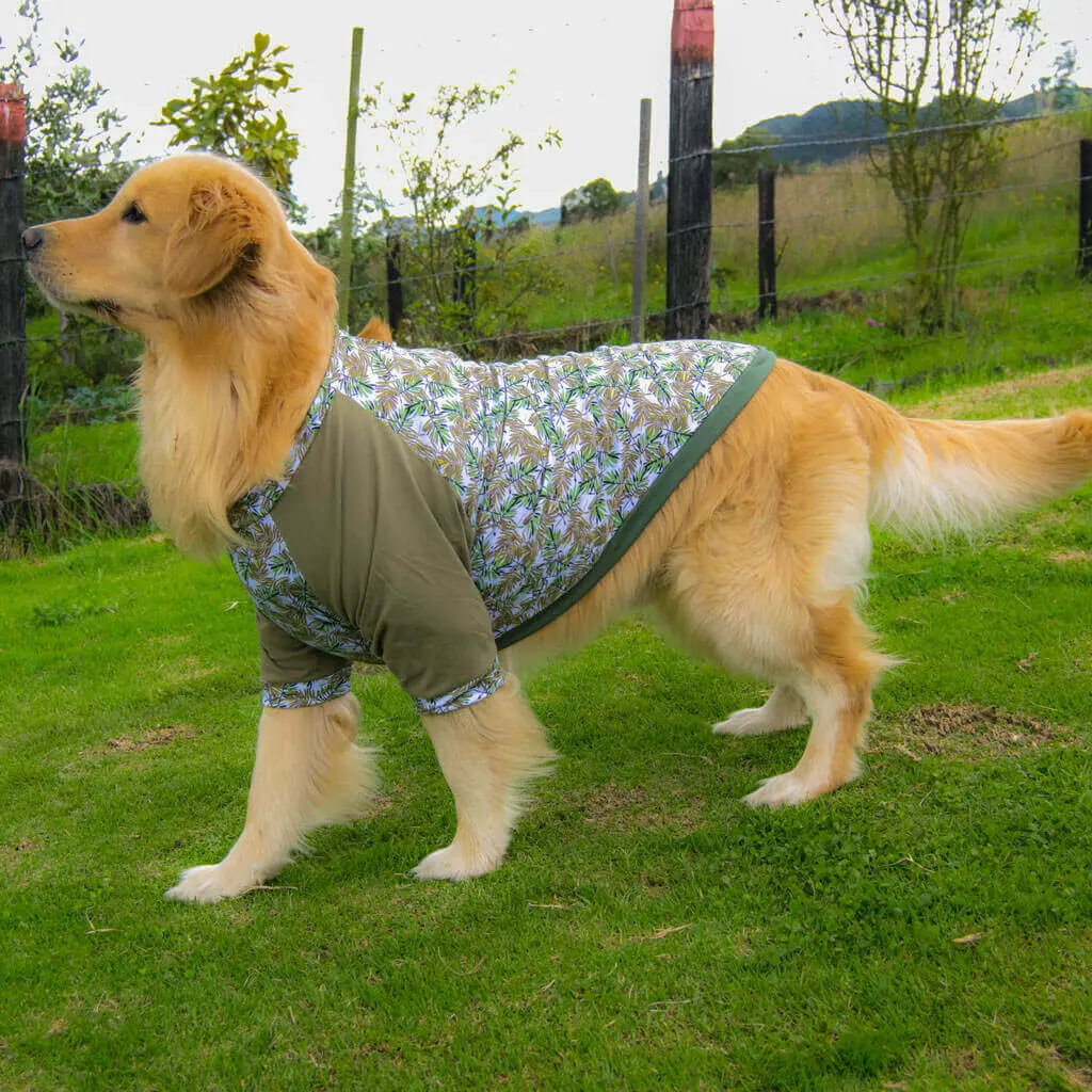 ropa para perros bogota - Qué hacer con un perro en Bogotá