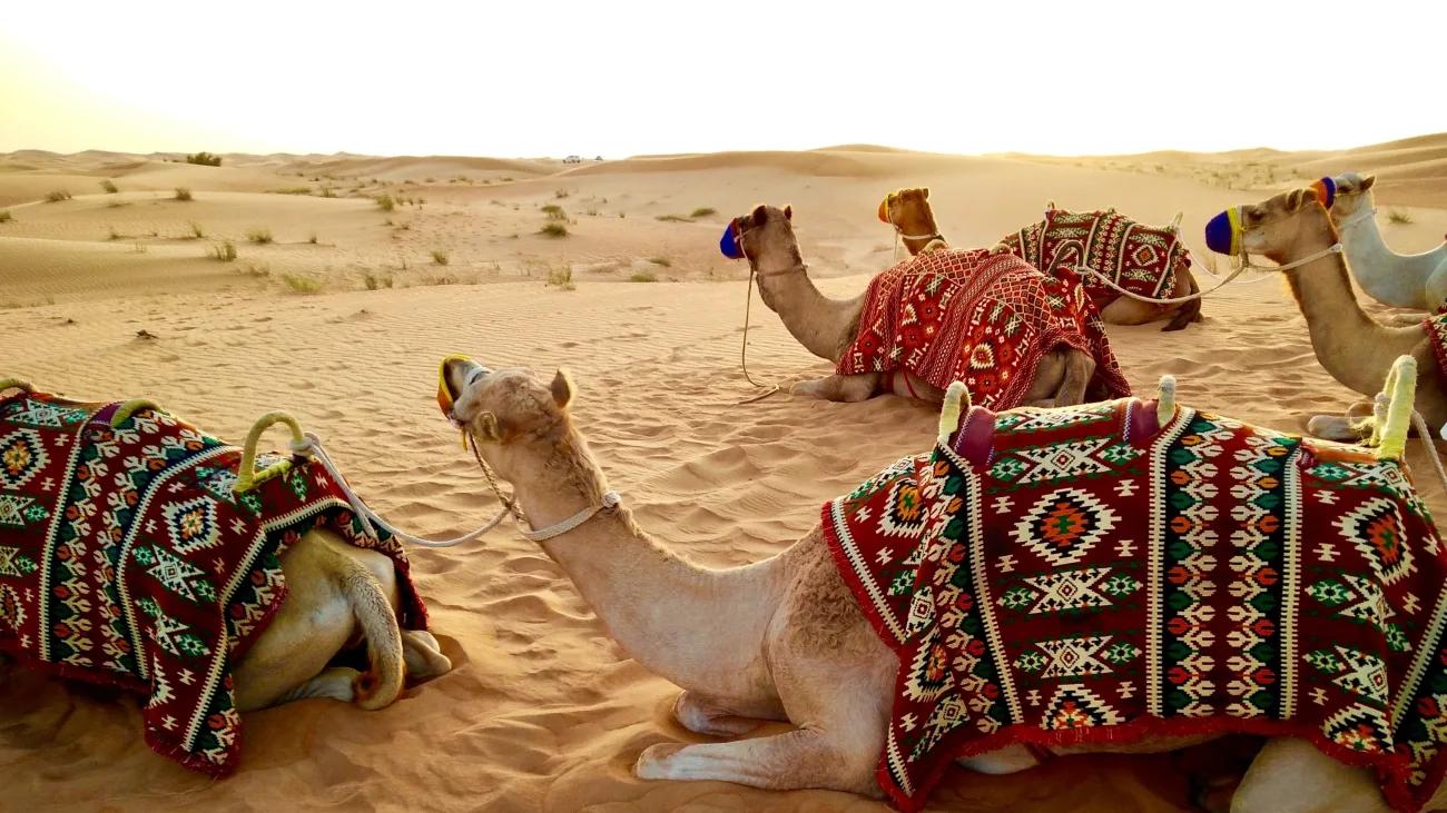 dubai ropa mujer - Qué ropa usar en el desierto de Dubai